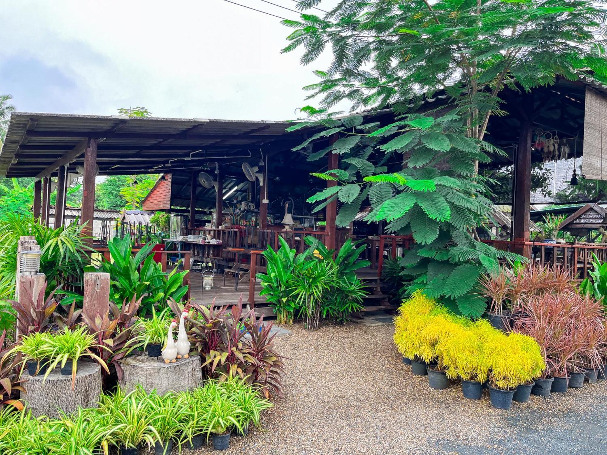 Ban Mae Pong North Pine Forest Homestay บ้านไม้สนโฮมสเตย์ מראה חיצוני תמונה