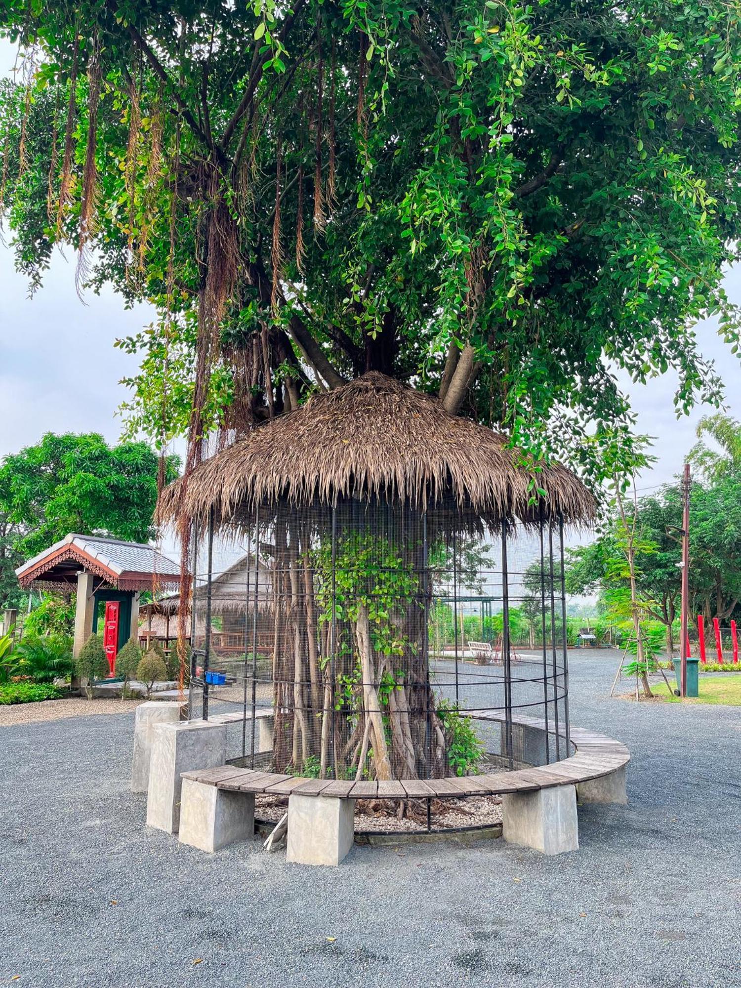 Ban Mae Pong North Pine Forest Homestay บ้านไม้สนโฮมสเตย์ מראה חיצוני תמונה