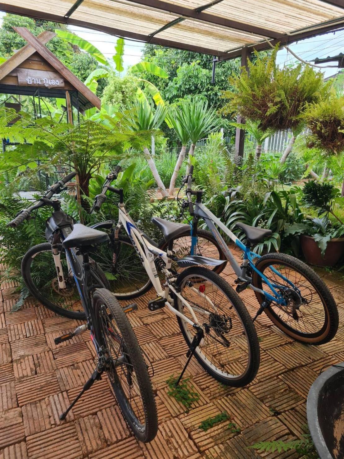Ban Mae Pong North Pine Forest Homestay บ้านไม้สนโฮมสเตย์ מראה חיצוני תמונה